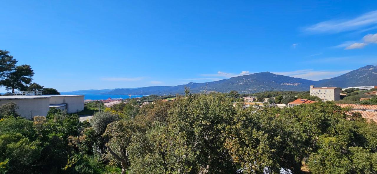 T3 Le Myrte Vue Mer & Montagne Idealement Situe Проприано Екстериор снимка